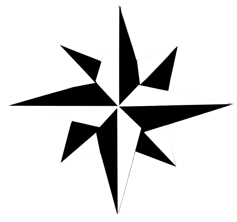 Logo Defence System Technology (DST) Security Ltd